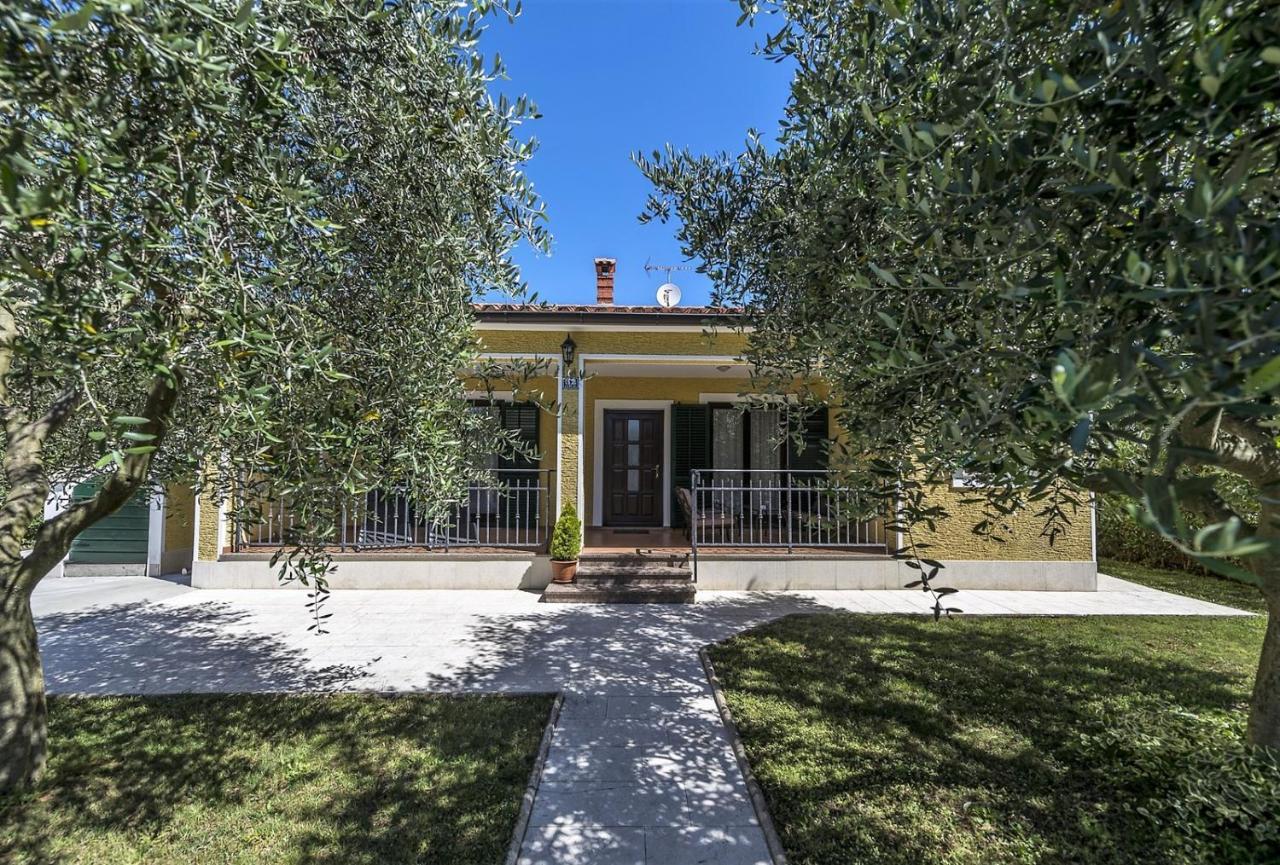 Spacious Three-Bedroom Villa Balun With Pool Poreč Dış mekan fotoğraf